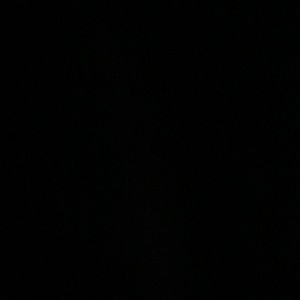 Meet your Posher, Hawi